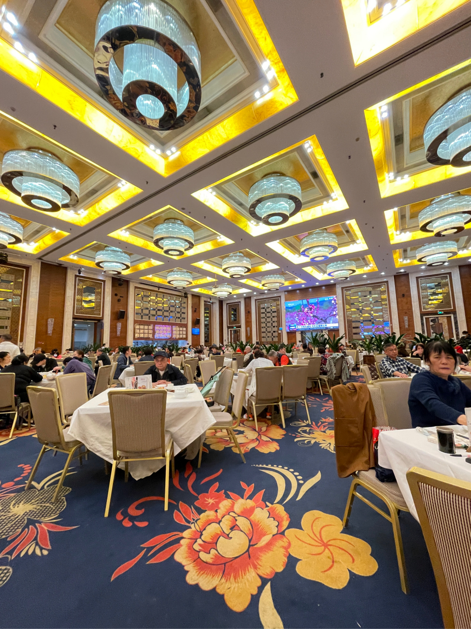 顺德人家 早茶 好像宴会厅