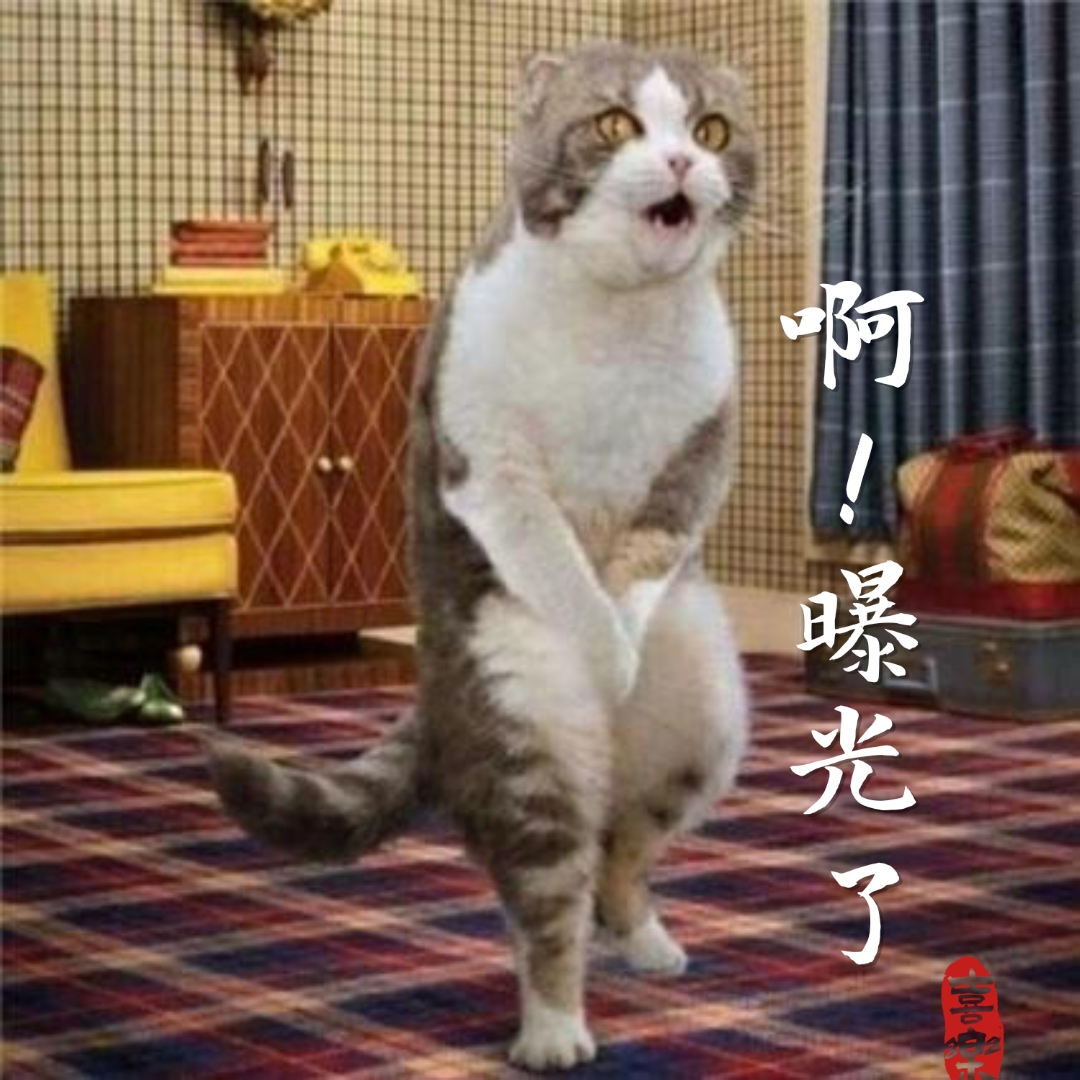 不仅能自如地站立,摆出各种滑稽的姿态,让人忍俊不禁,更是以其可爱与