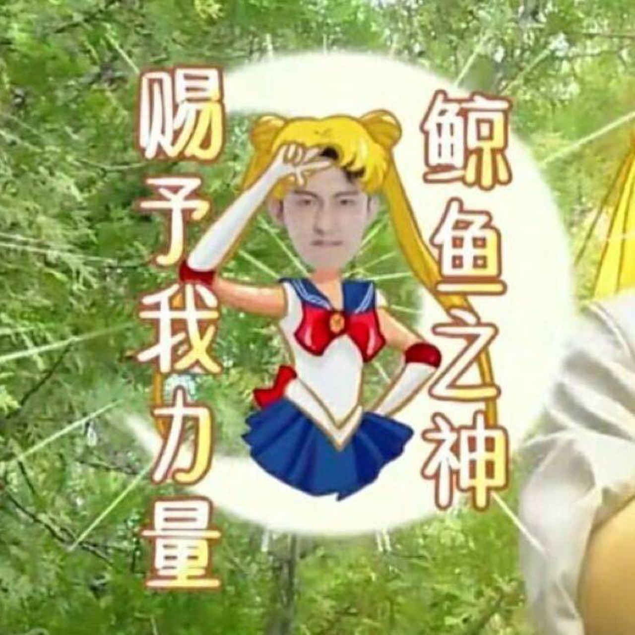 赐予我力量吧!