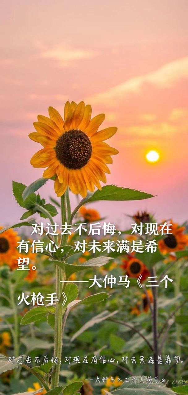 对过去不后悔,对现在有信心,对未来满是希望.