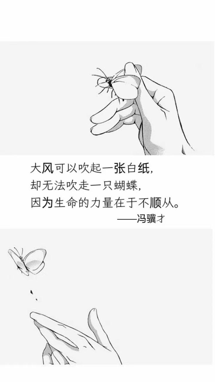 大风可以吹起一张白纸,却无法吹走一只蝴蝶,因为生命的力量在于不顺从