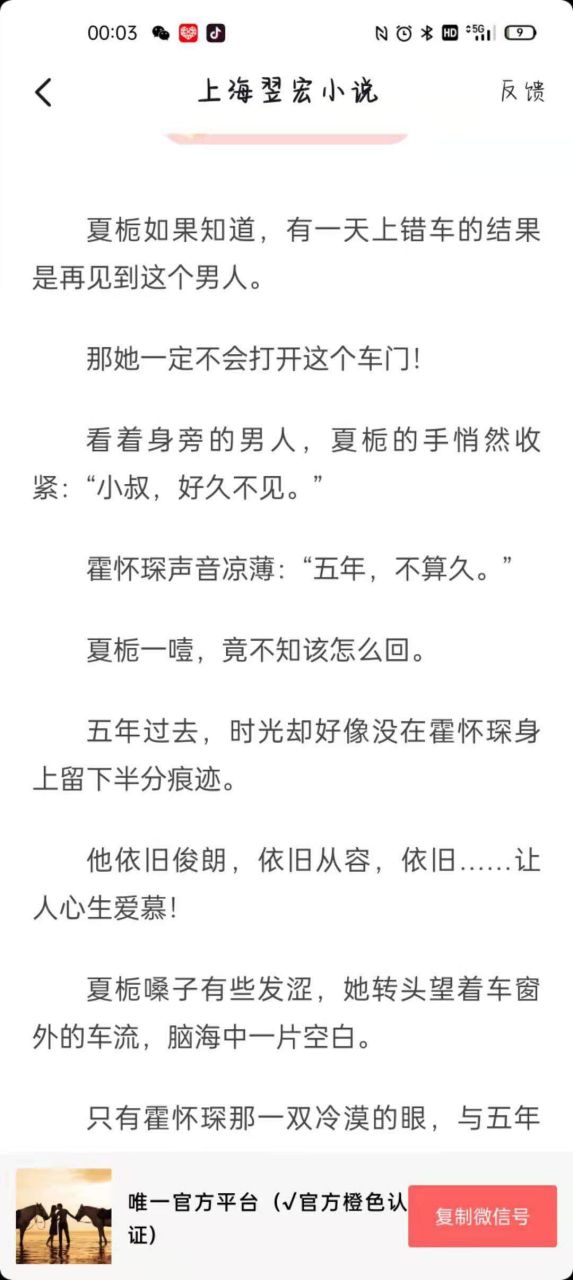 抖音热推小叔文《夏栀霍怀琛小叔》又名《夏栀霍怀琛/小叔好久不见》