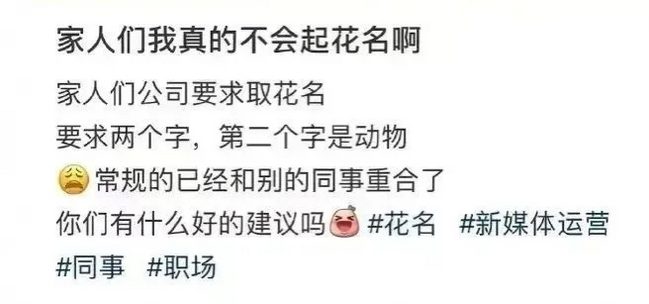 评论区永远都是最搞笑的[捂脸]