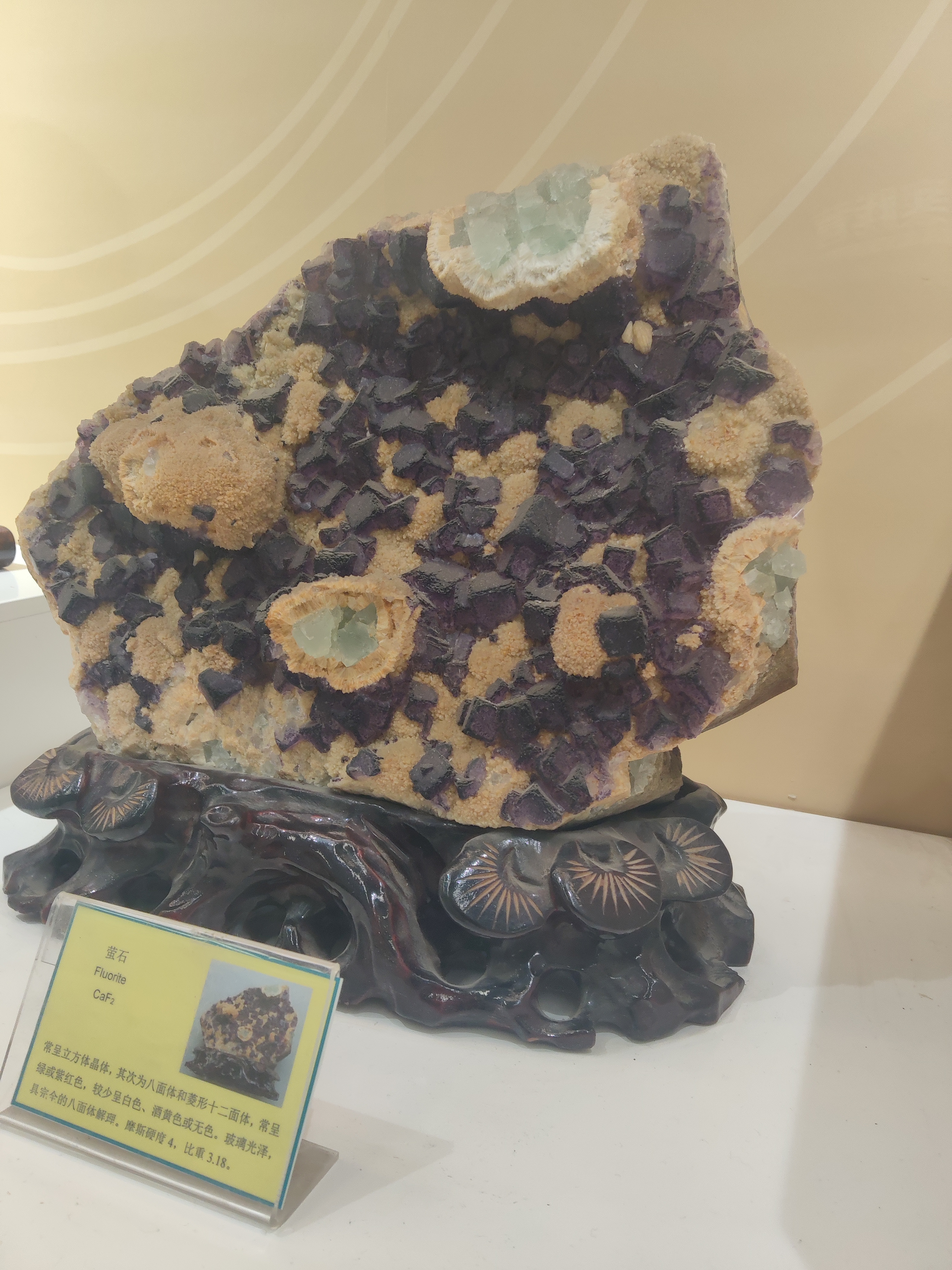 美丽的确矿石(中)?