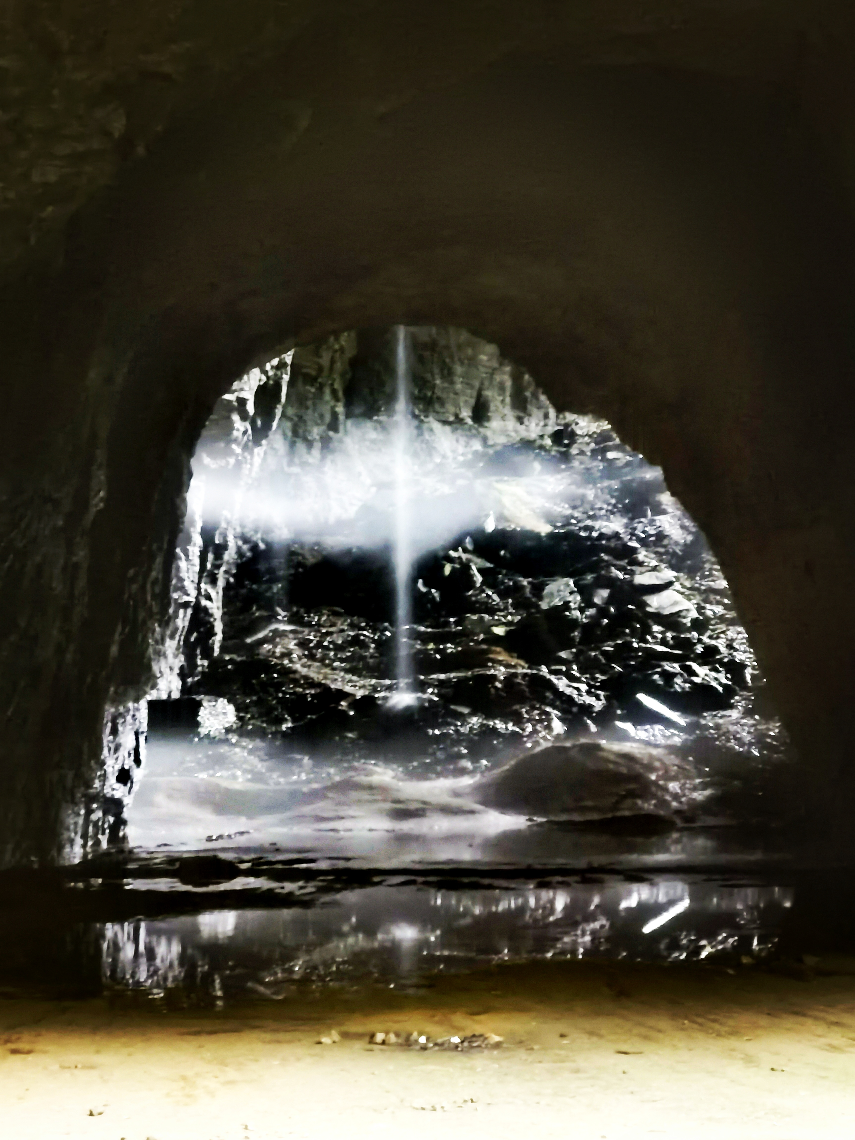 动静相宜,君不误?君不误!奈何已是黄花后