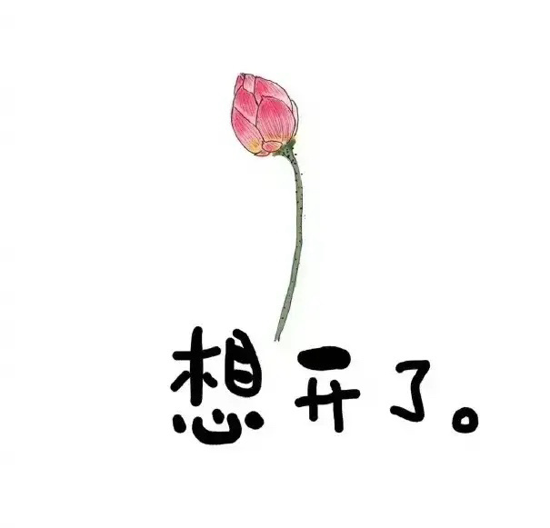 想通了,随波逐流