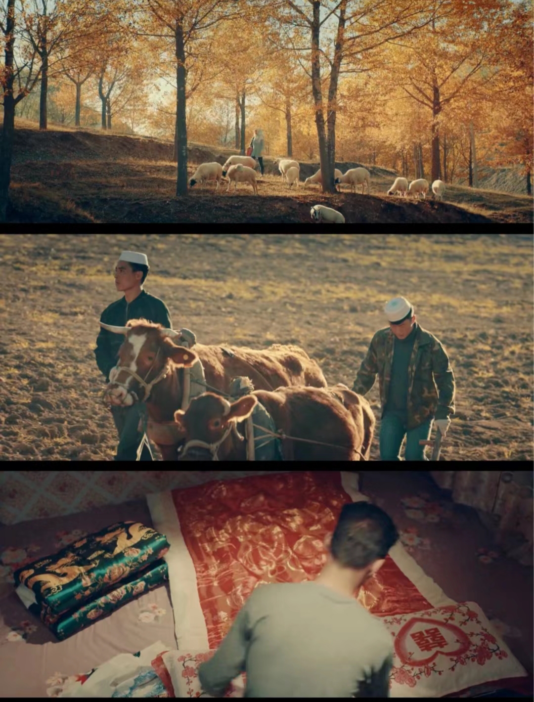 96分钟,一次心灵的洗礼之旅