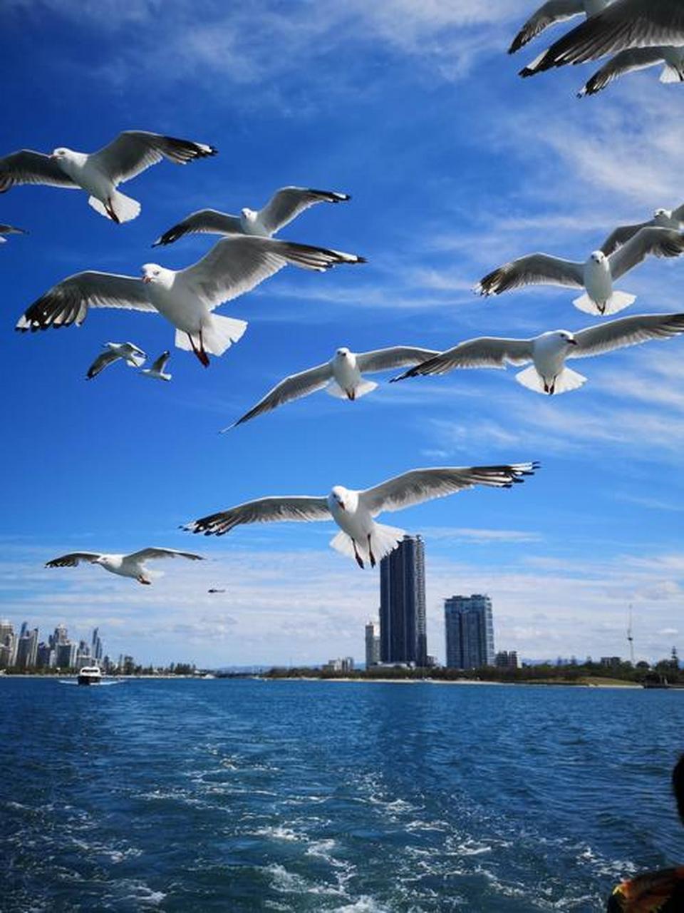 微风吹拂,海浪轻摇, 沙滩上留下,足迹萦绕.