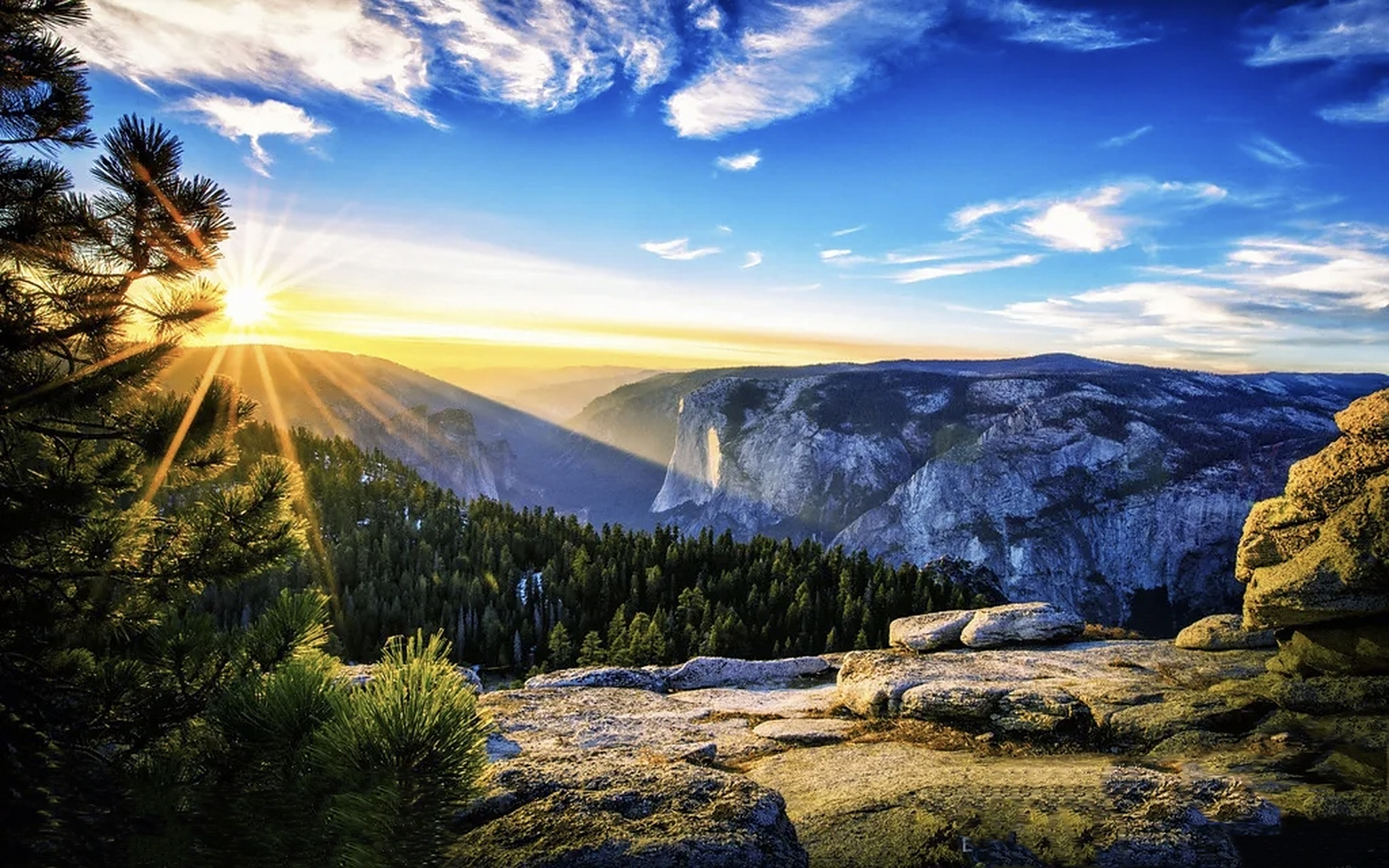 7月的早晨  清晨初晓,七月降临, 瑰丽的太阳,轻拂大地; 晨曦洒满,梦幻