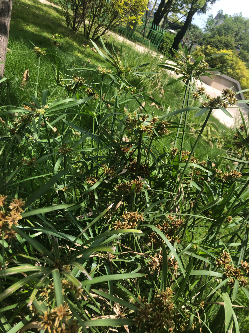 请高手指点,前几日偶得一诗,不知如何命名诗名,求赐教: "不惑邀垂髫