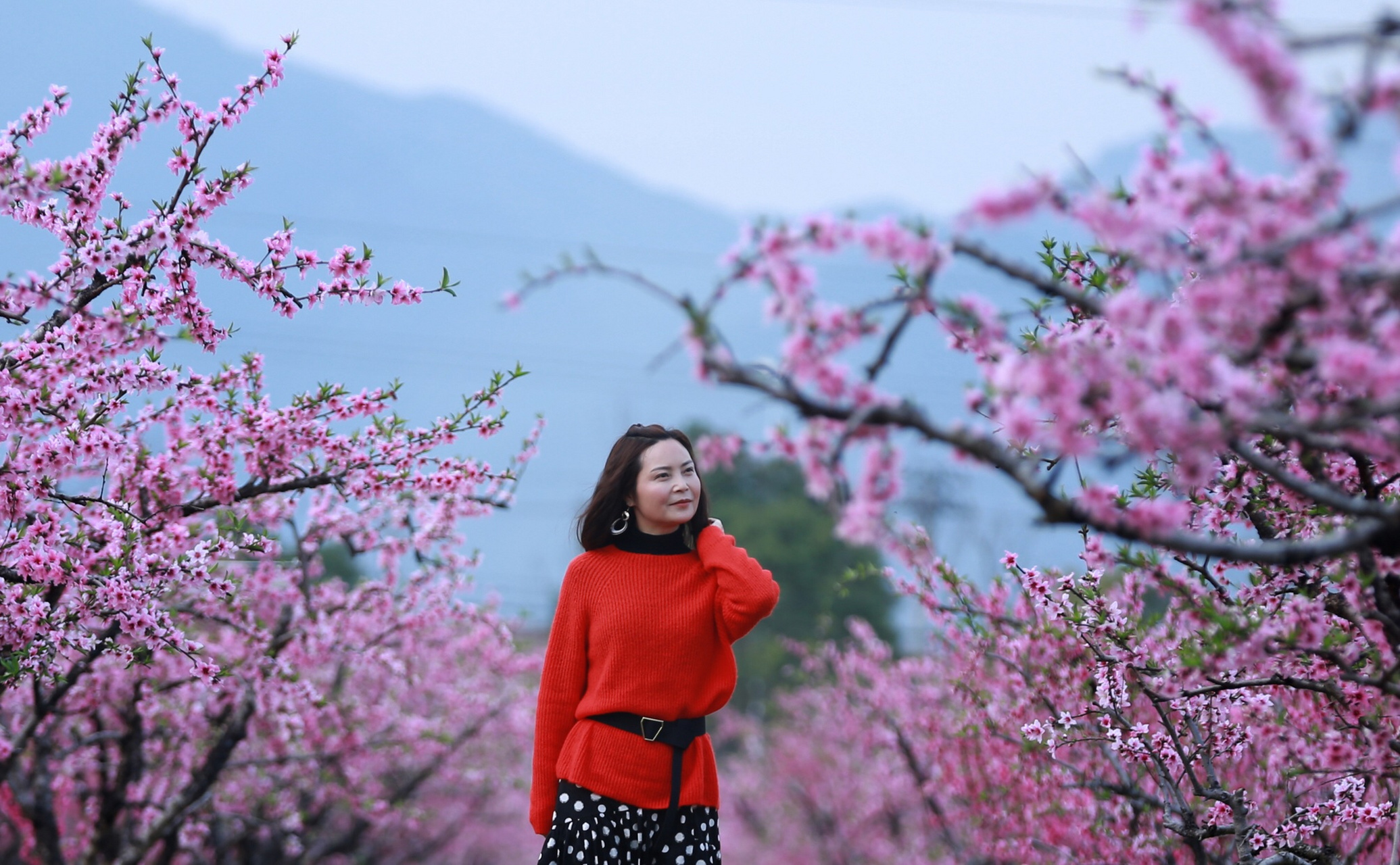 【余红霞简介 余红霞,女,中国武术7段,国家级考评员,国家级社会体育