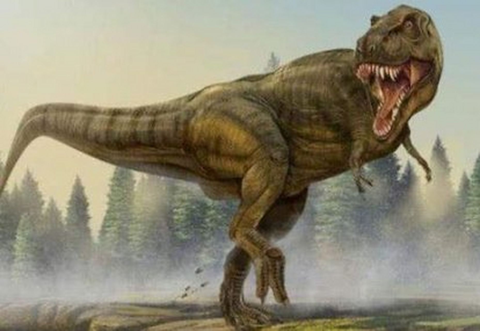 我举报了百度的一个作者,名叫奇点使者,她竟然说猛犸象比霸王龙强,棘