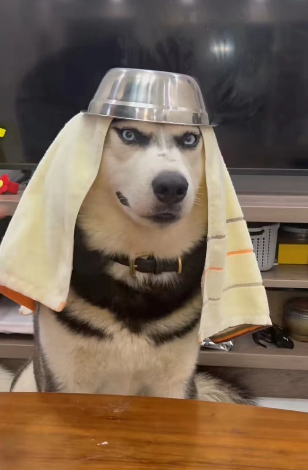 不知道为啥,看到这个形象一出现我就非常想去揍它一顿,不知道大家伙是