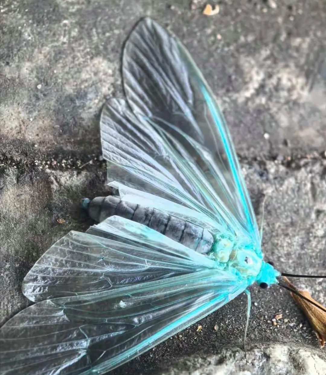 让我们一起探寻自然的奥秘,感受生命的绚烂