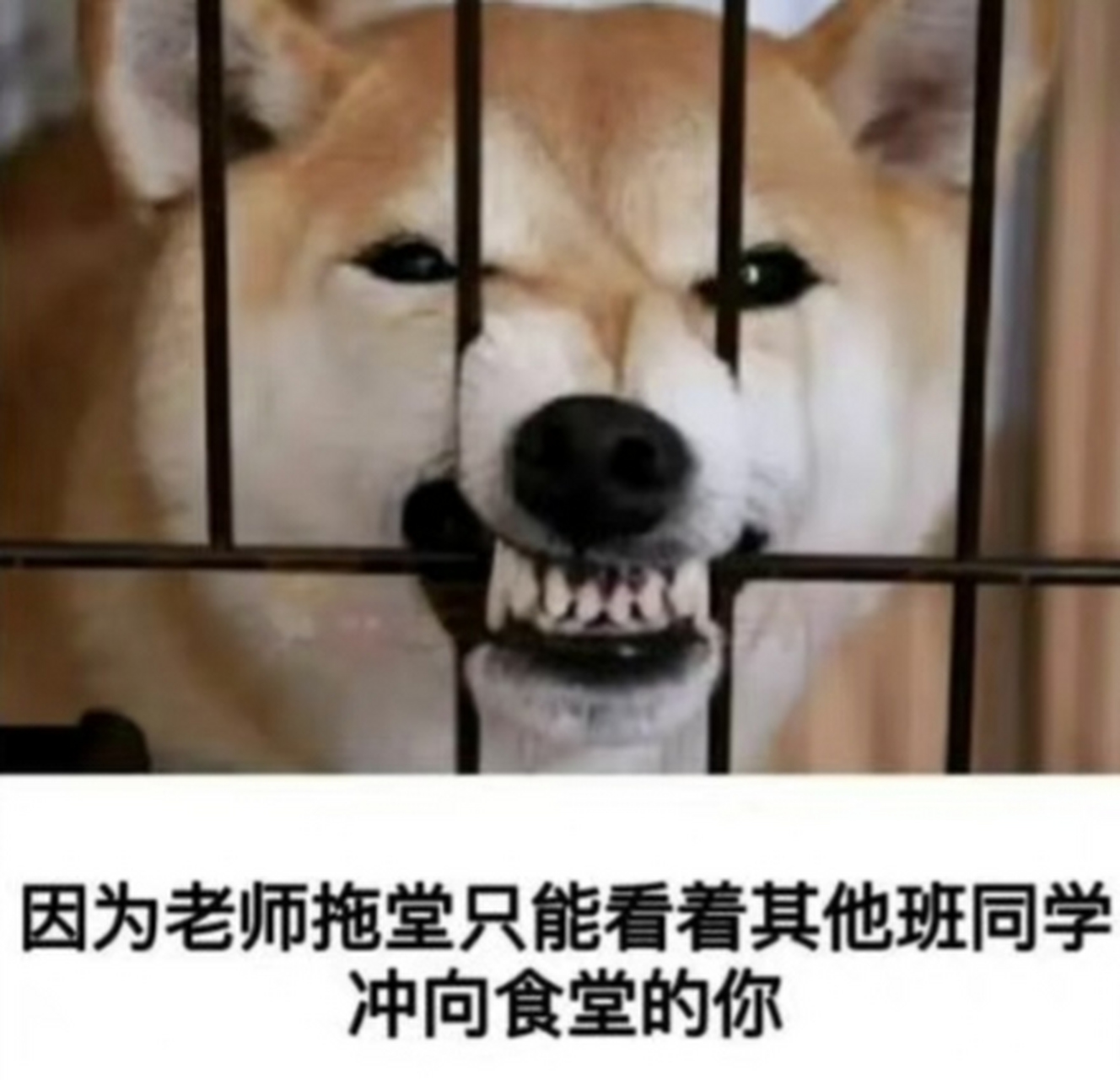 拖堂永远是吃饭路上的一大绊脚石