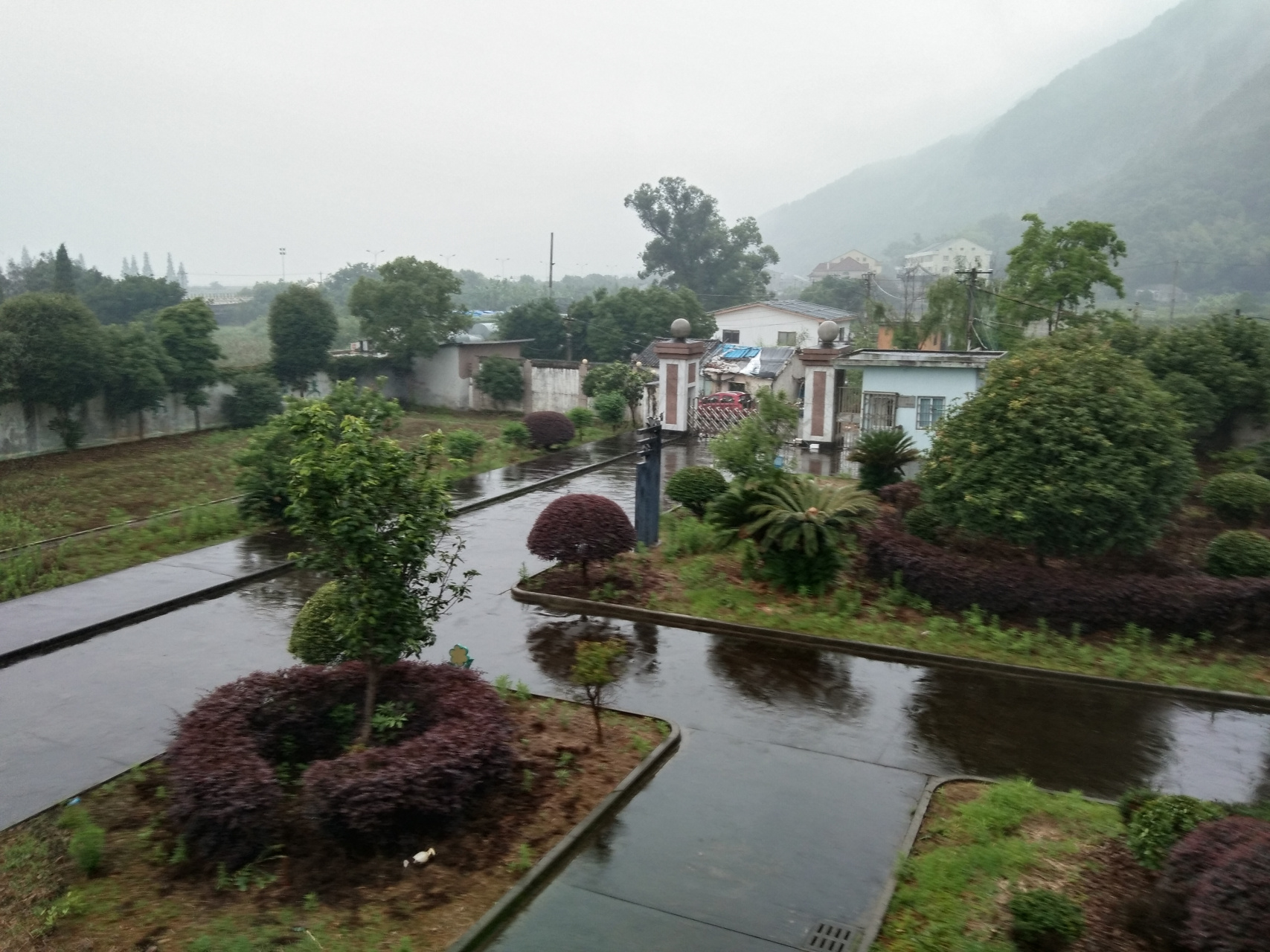 永嘉碧莲中学分部画室校景清秀,空间辽阔.