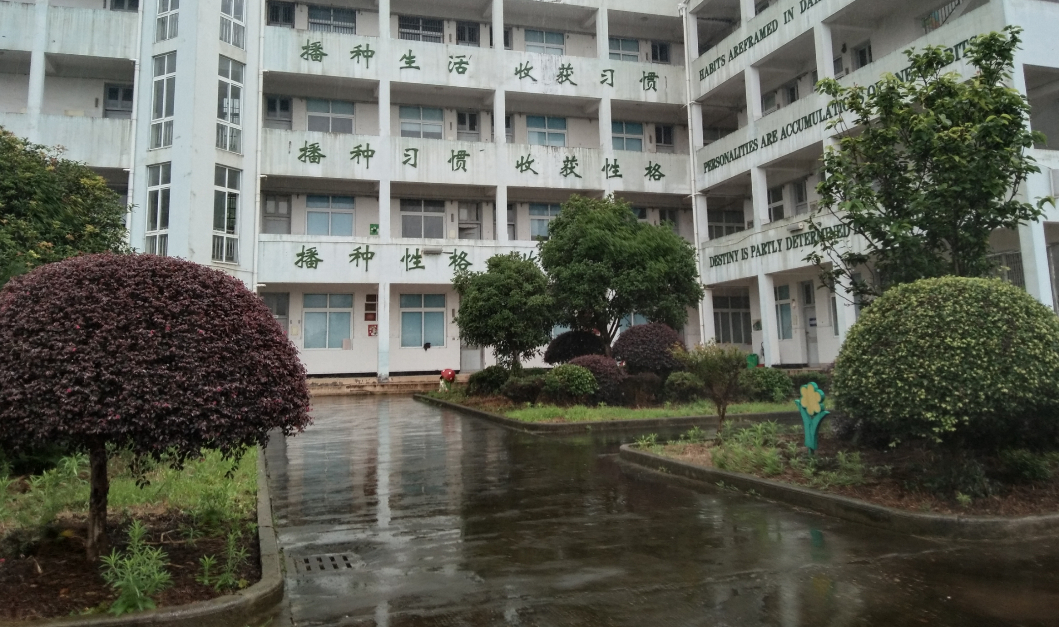 永嘉县碧莲中学分部画室绿化优美,环境广阔