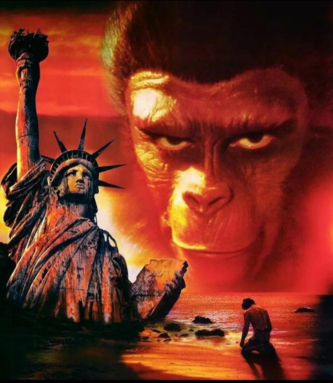 高卢雄鸡骚乱,花旗国零元购,我们要引以为戒!