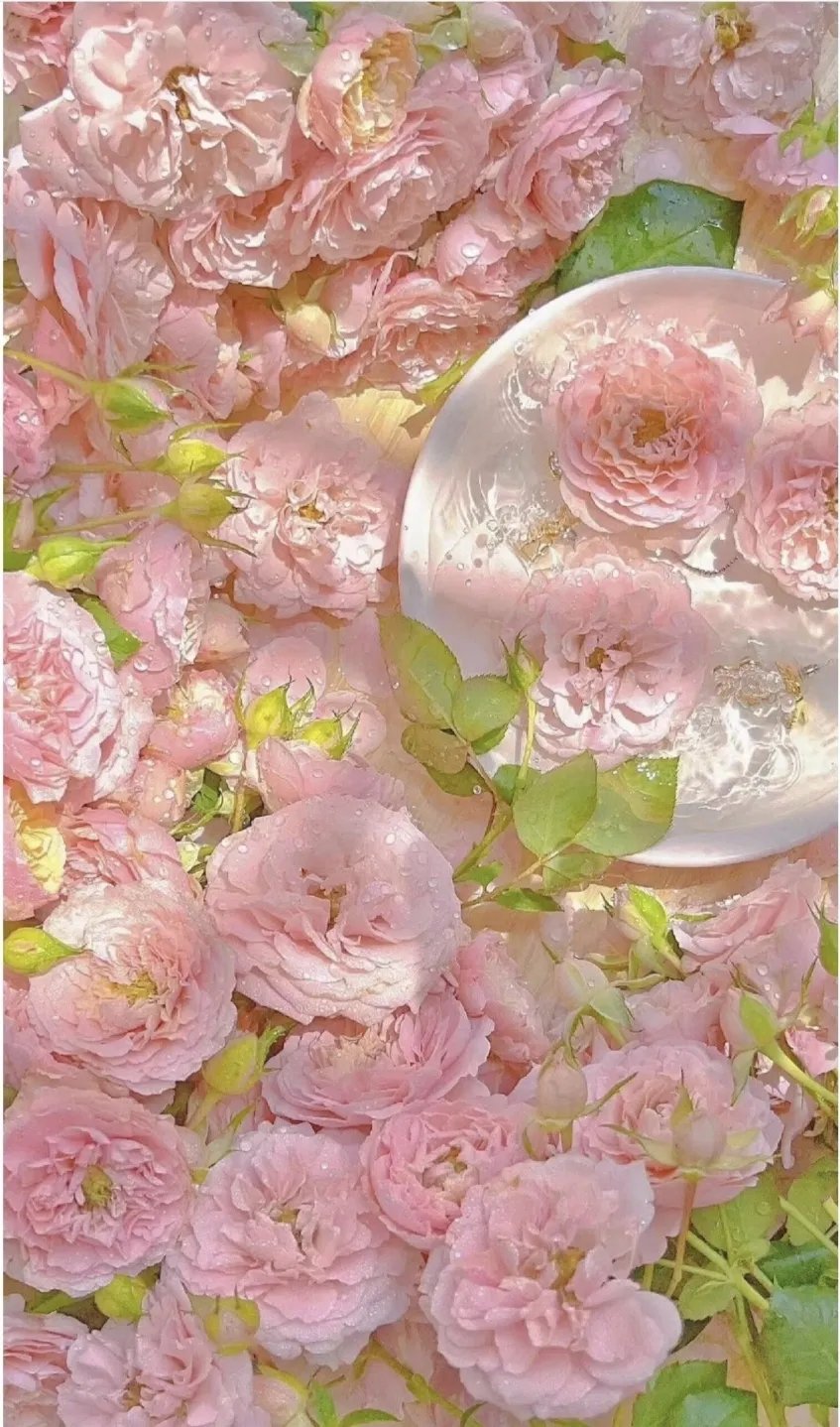 小清新鲜花壁纸
