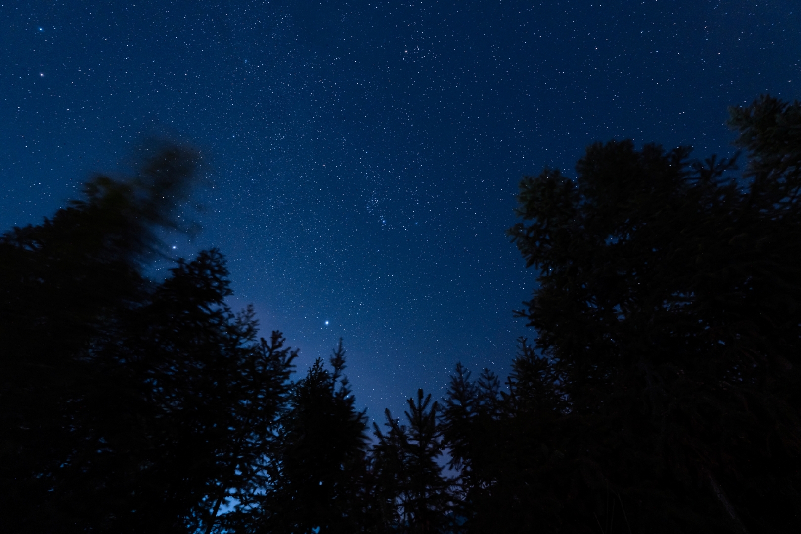 满天繁星的图片 夏夜图片