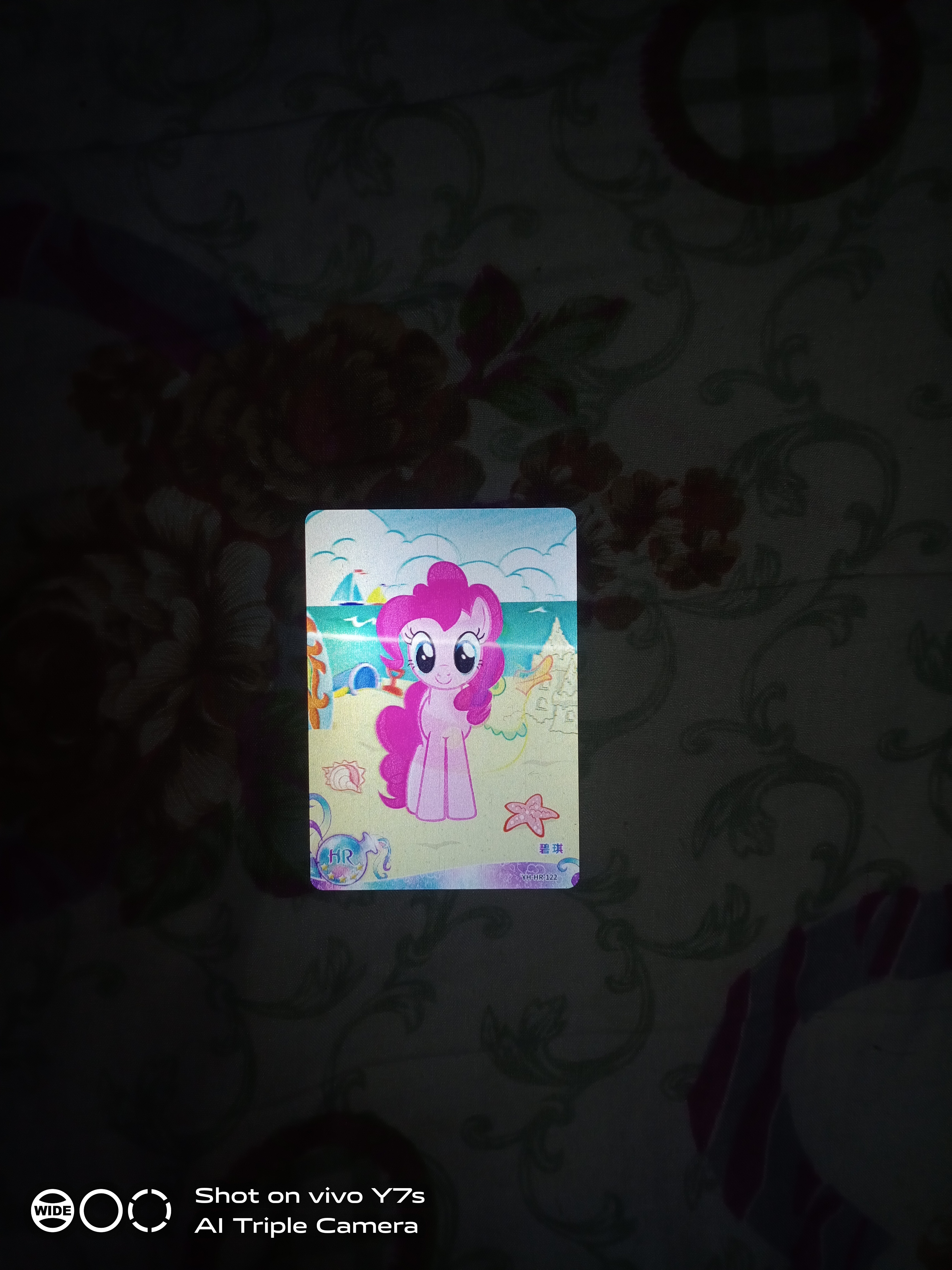 画红圈的是真卡还是假卡,这是春游结束的时侯买的[吃鲸]