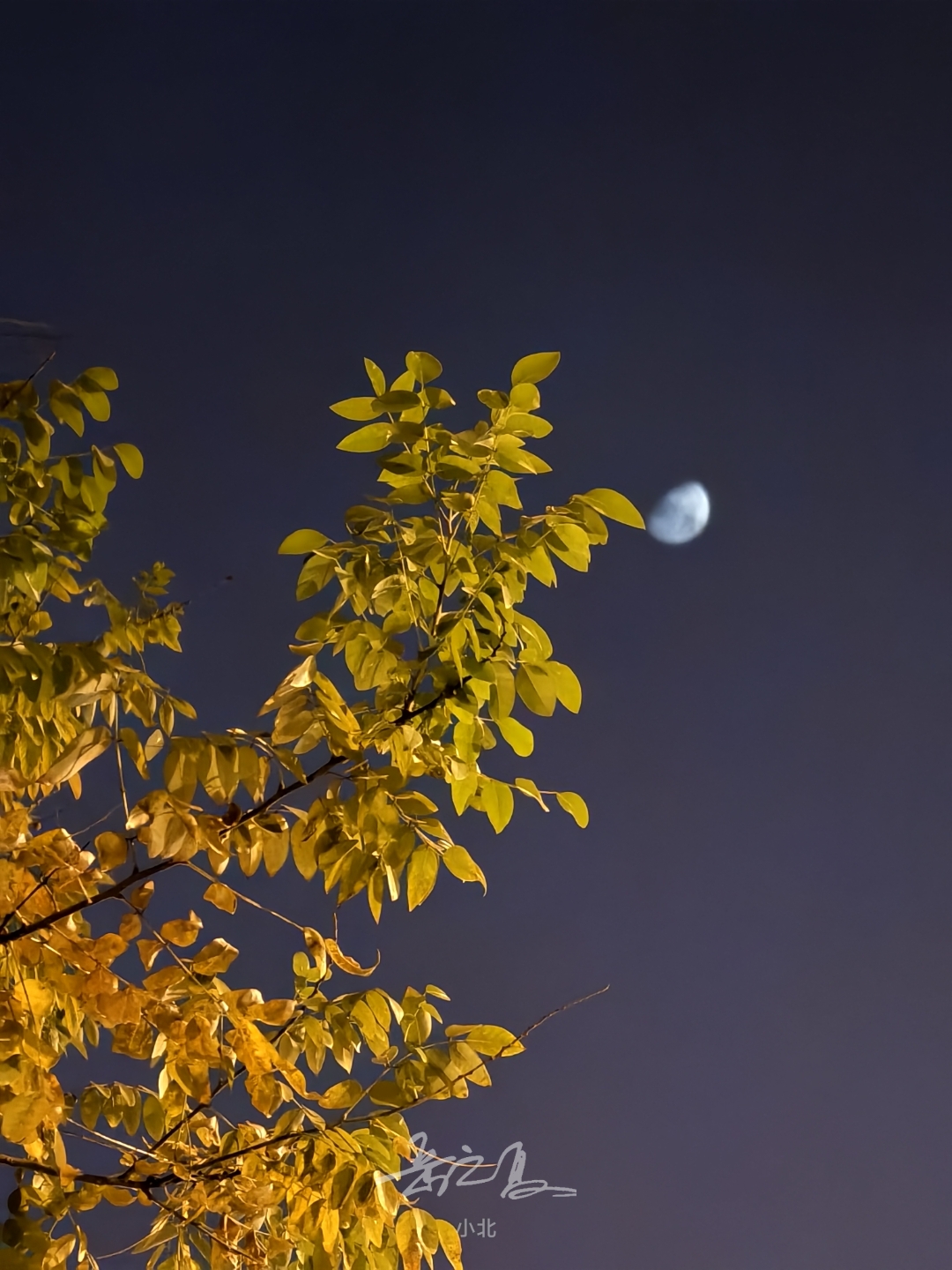 这宁静的秋夜,让我的心也跟着沉静下来,享受着片刻秋风夜景图片秋天未