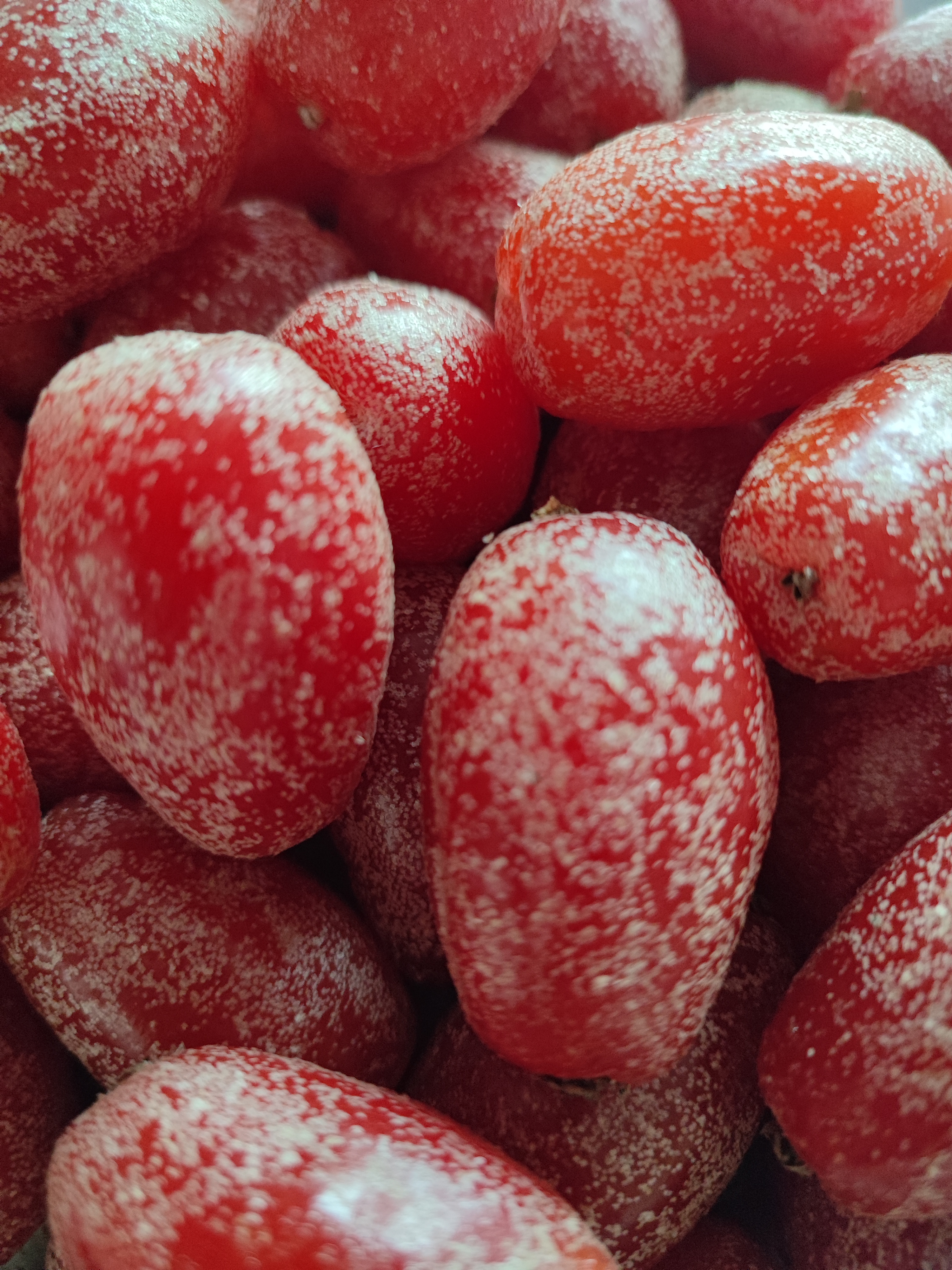 这红红的可爱的小东西可不是小番茄,它叫"羊奶果".