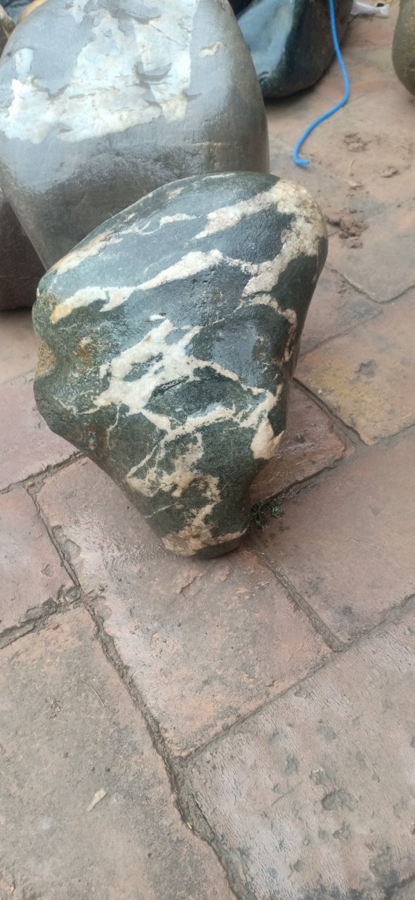 渭河极品石图片