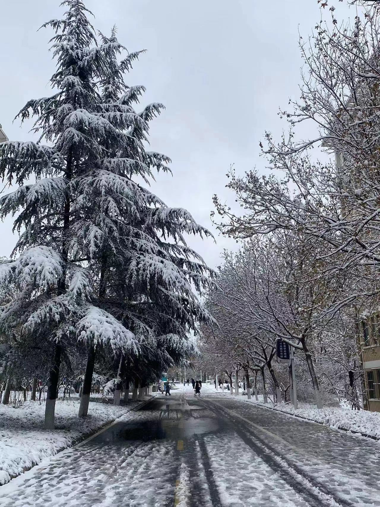 傍晚雪景最美图片