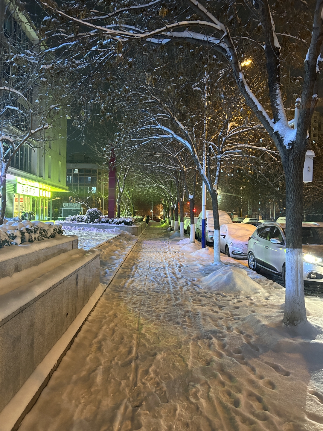 真实雪景图片夜晚图片