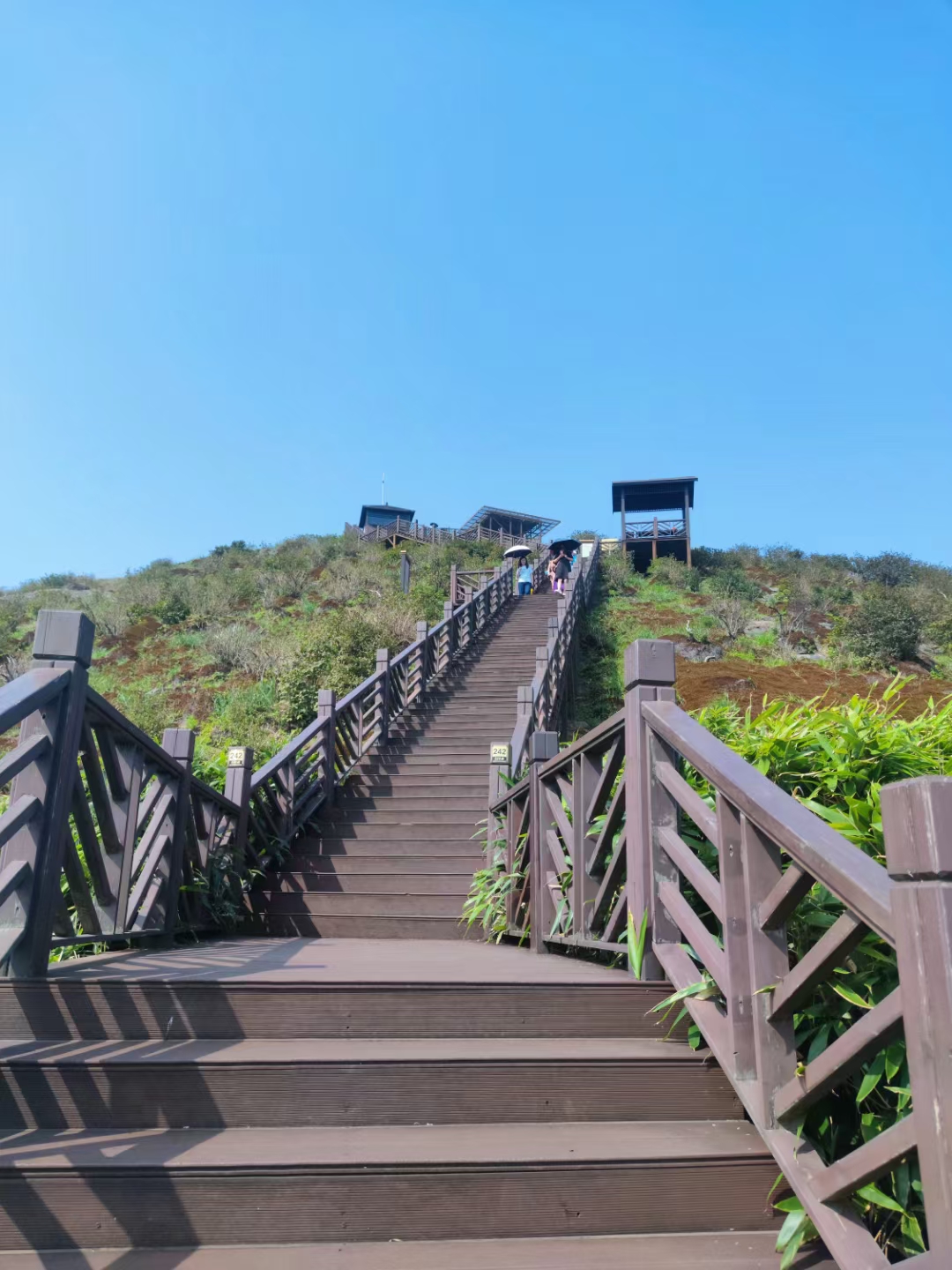 我给她拿了云南白药还有纱布和医用棉签,酒精,本打算送她去医院或者说