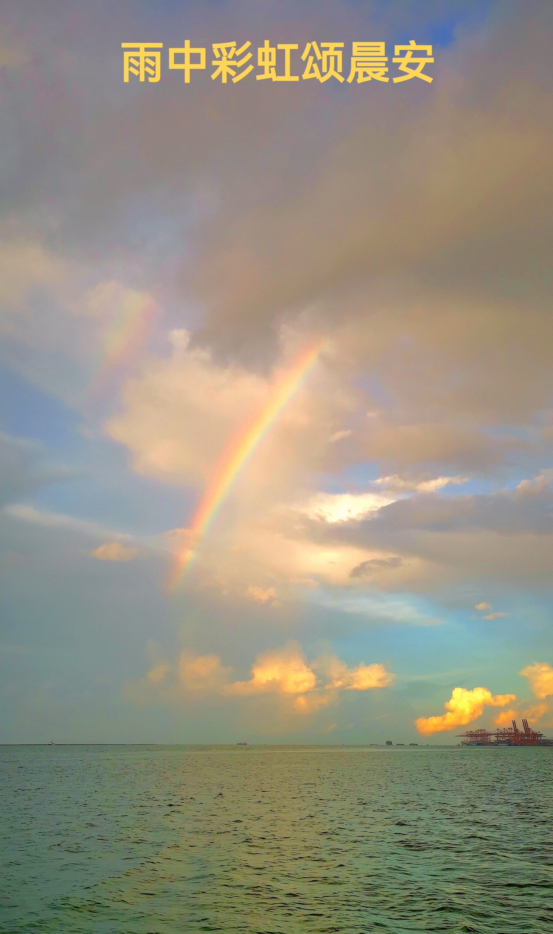 唯经风雨,方见彩虹.