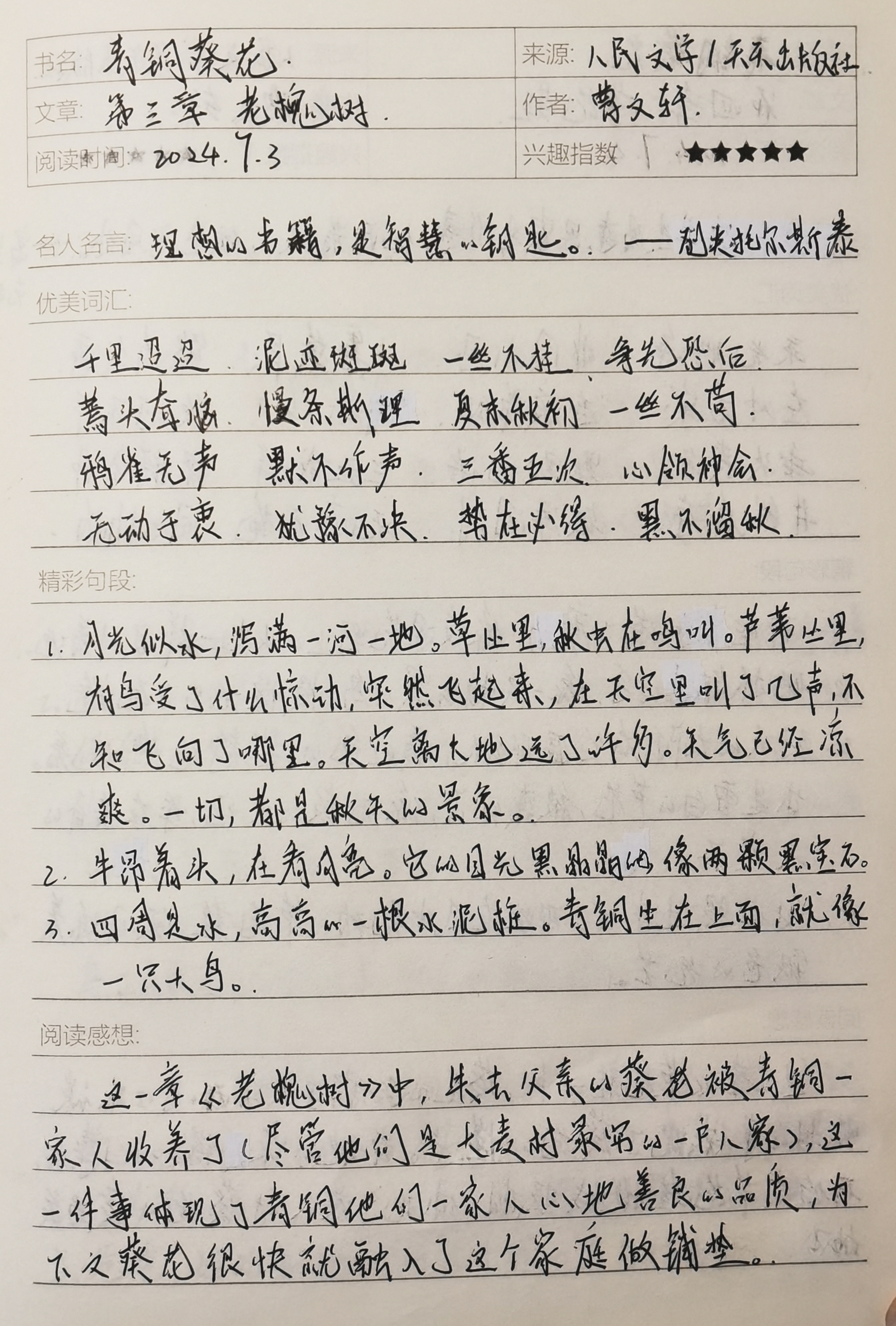 《青铜葵花》读书笔记 第三章  老槐树