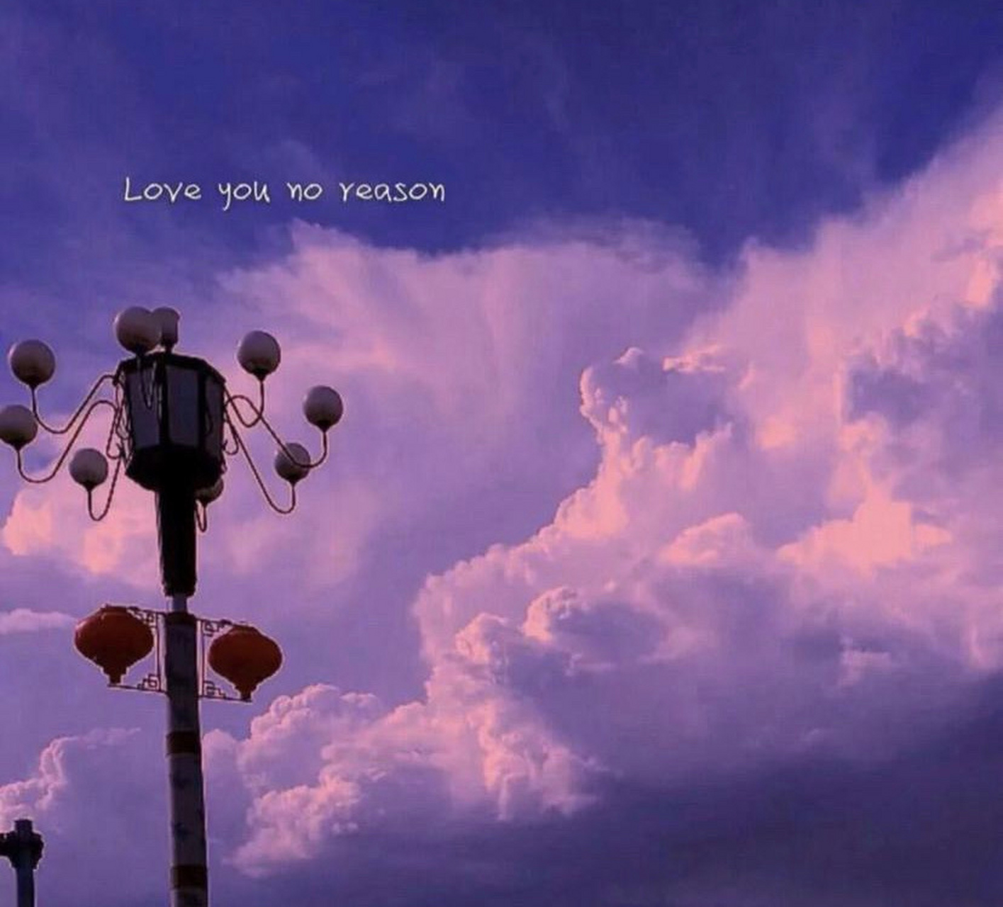 love rises and sets 爱意东升日落 romantic till death 浪漫至死不