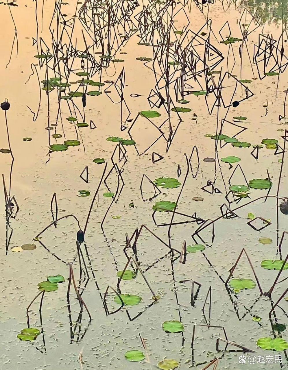 离火绝命  和光德润 丁巳癸巳