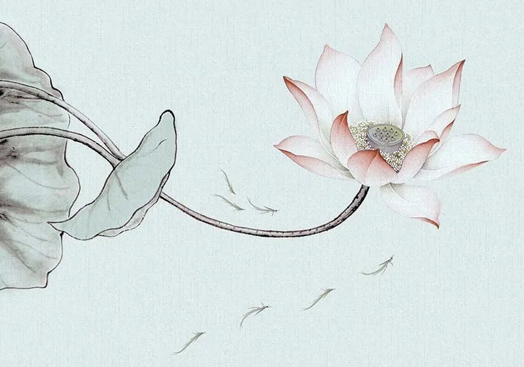 无相布施是三轮体空吗?