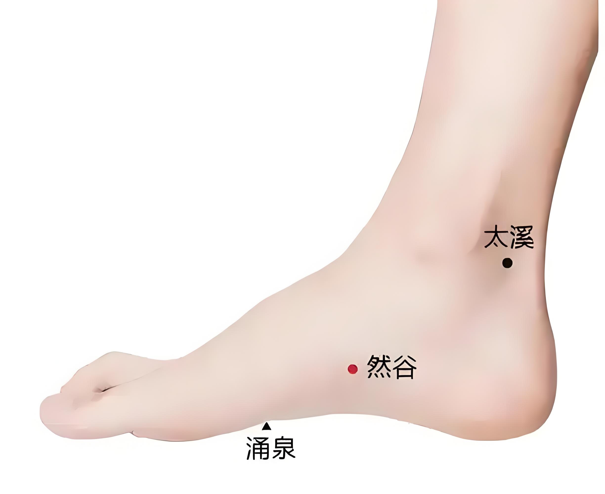 定位:在足内侧缘,足舟骨粗隆下方赤白肉际处