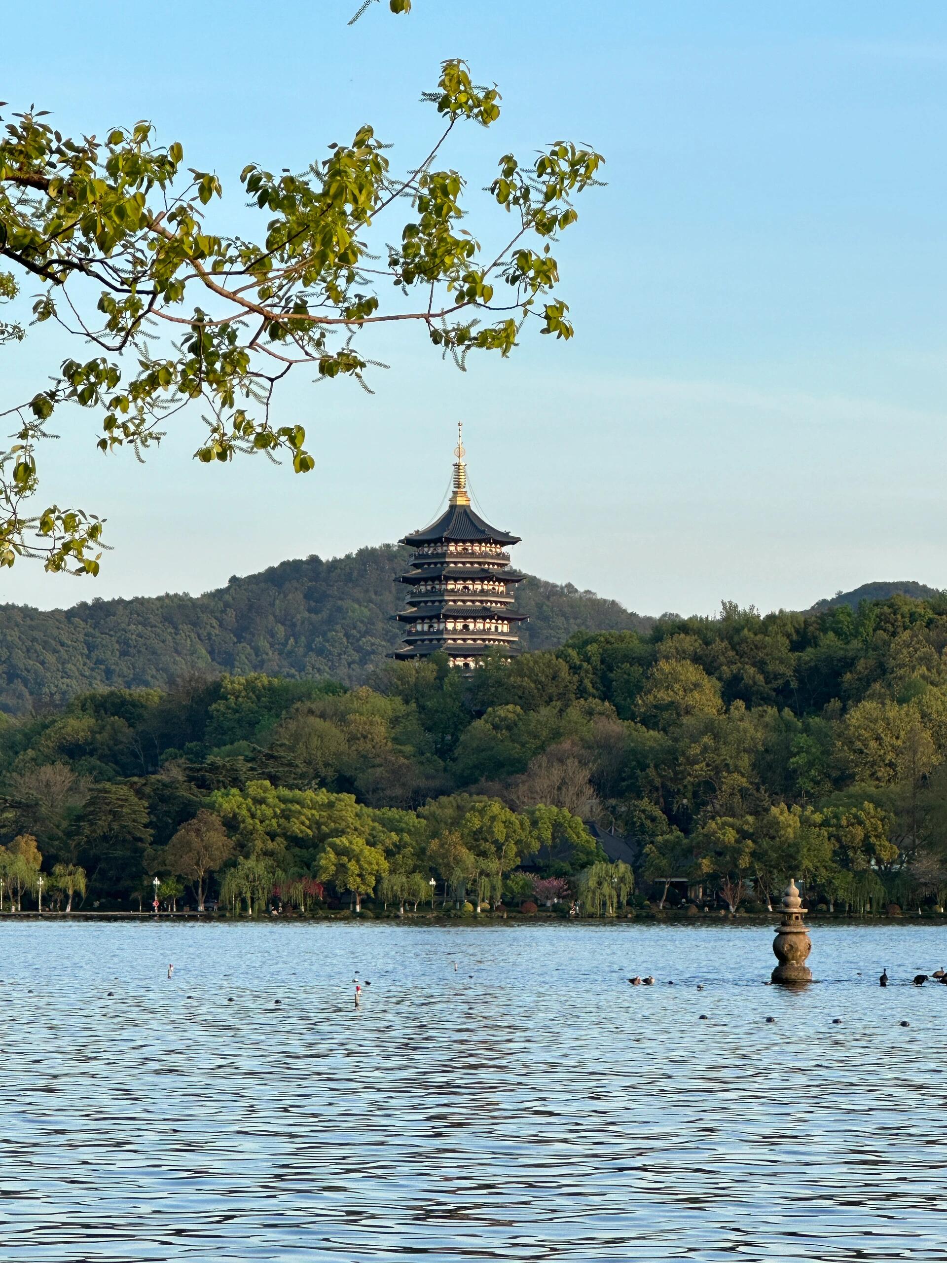 西湖之畔,一块灰白色岩石上,用鲜艳的红色油漆写着"杭州西湖",仿佛是