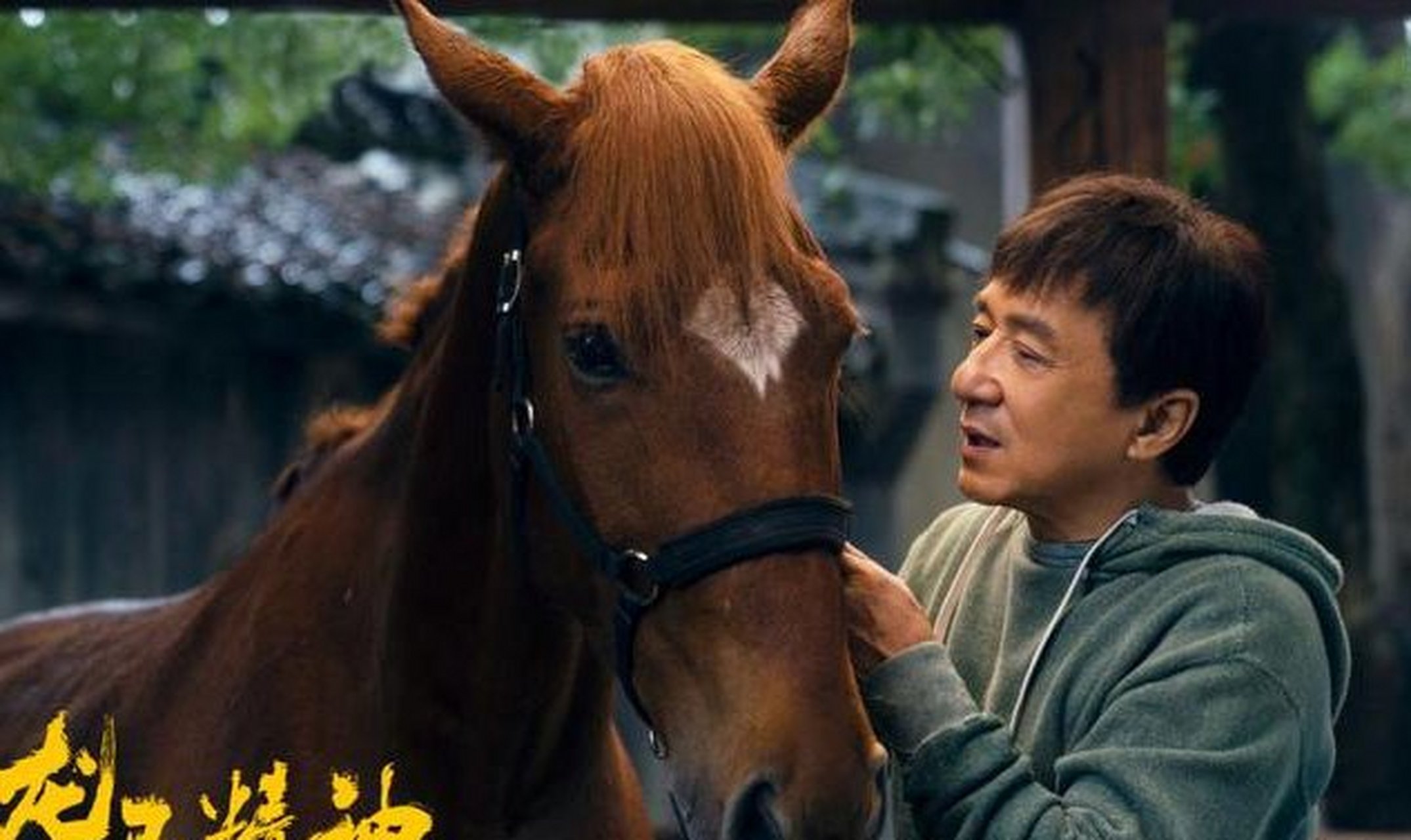 电影热搜指南# 【《龙马精神》2.