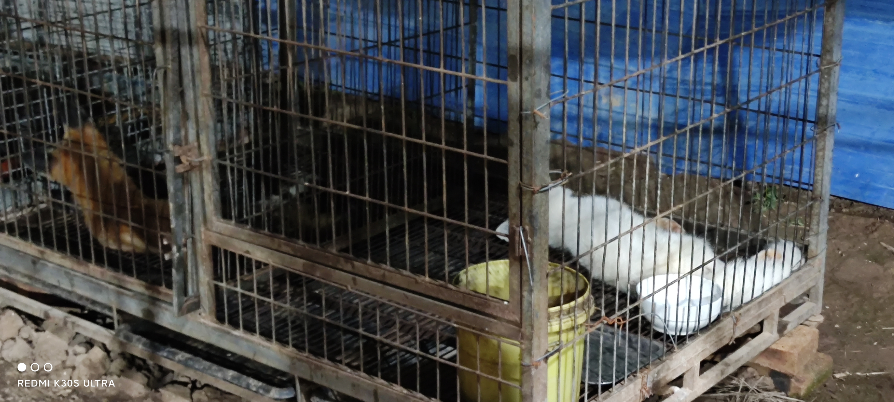 好像哦[嘻嘻][嘻嘻]