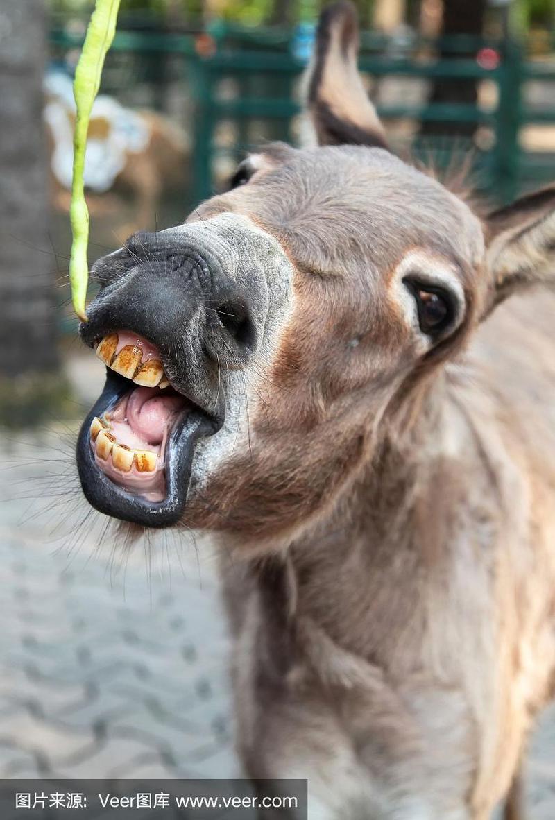 有一人赶集需经过一个老亲戚家门前