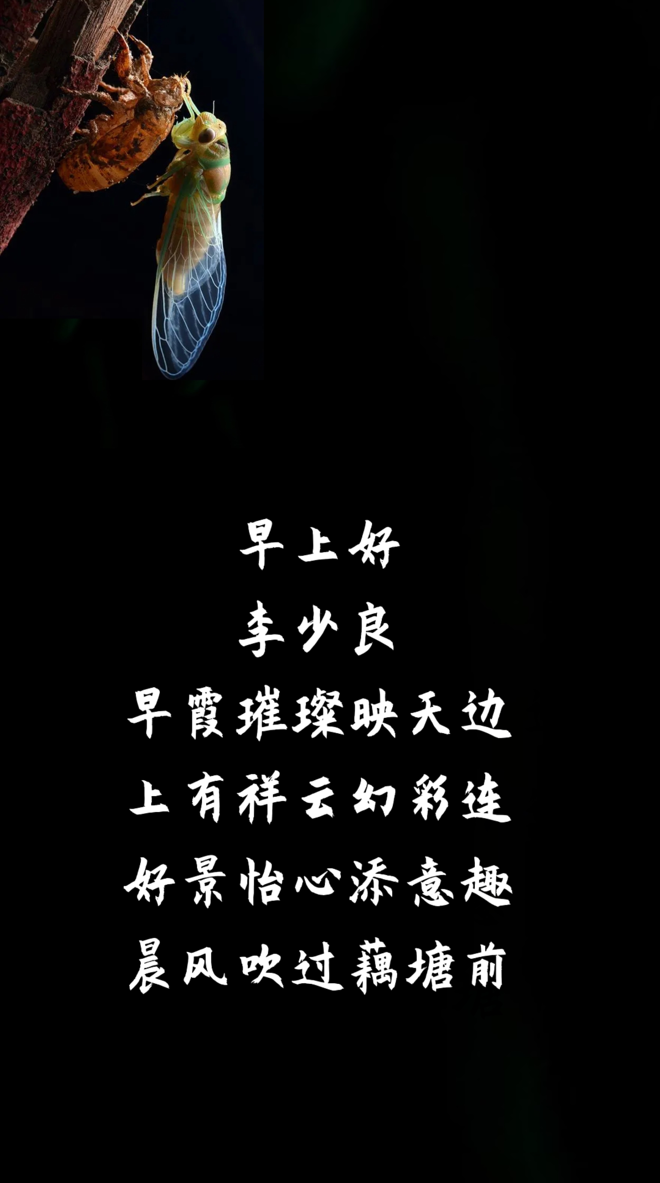 藏头诗# #原创# #七言美诗#   早上好 李少良 早霞璀璨映天边, 捎有