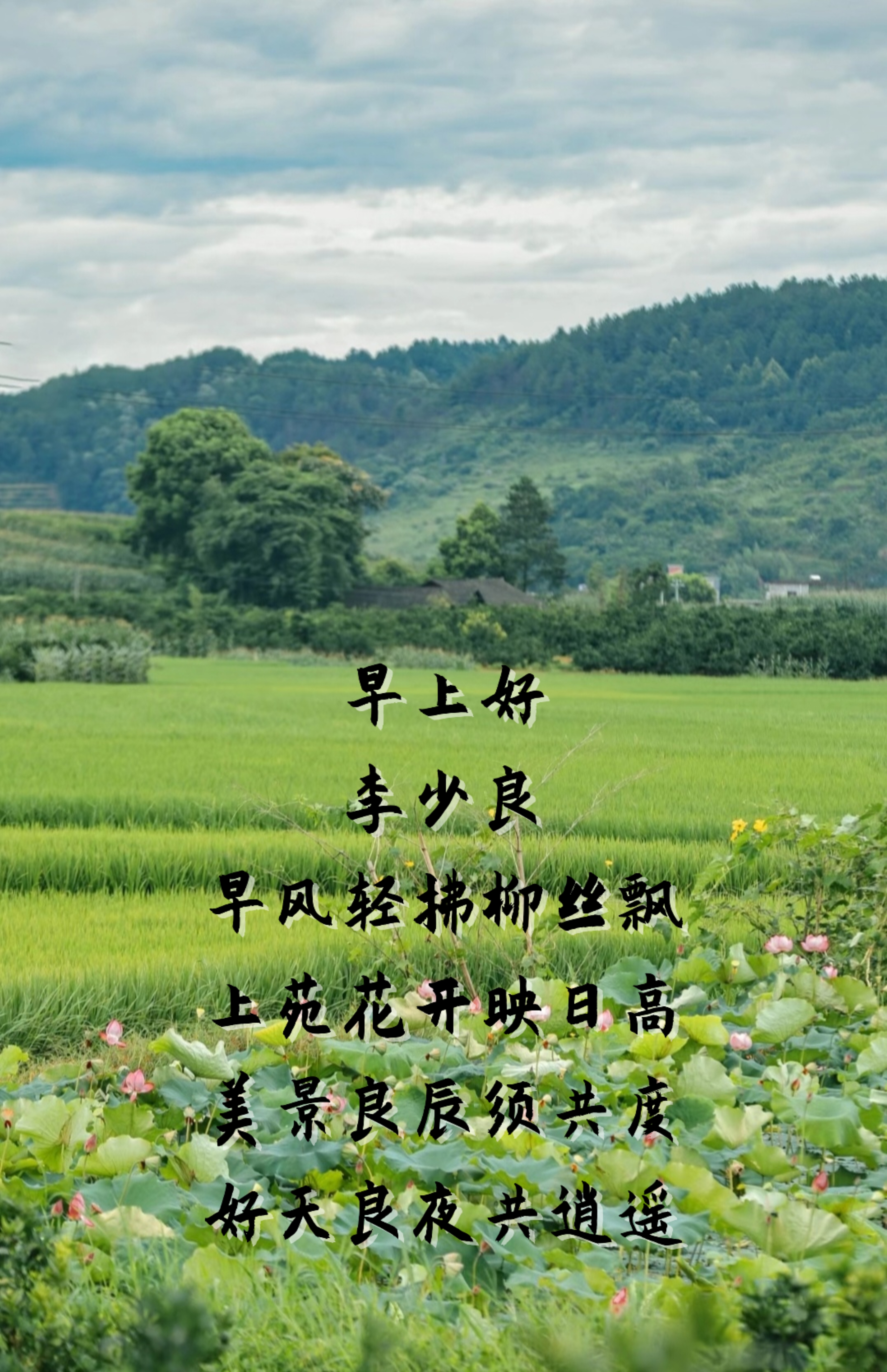 百家新收益# #原创# #藏头诗#  早上好 李少良 早风轻拂柳丝飘, 上苑