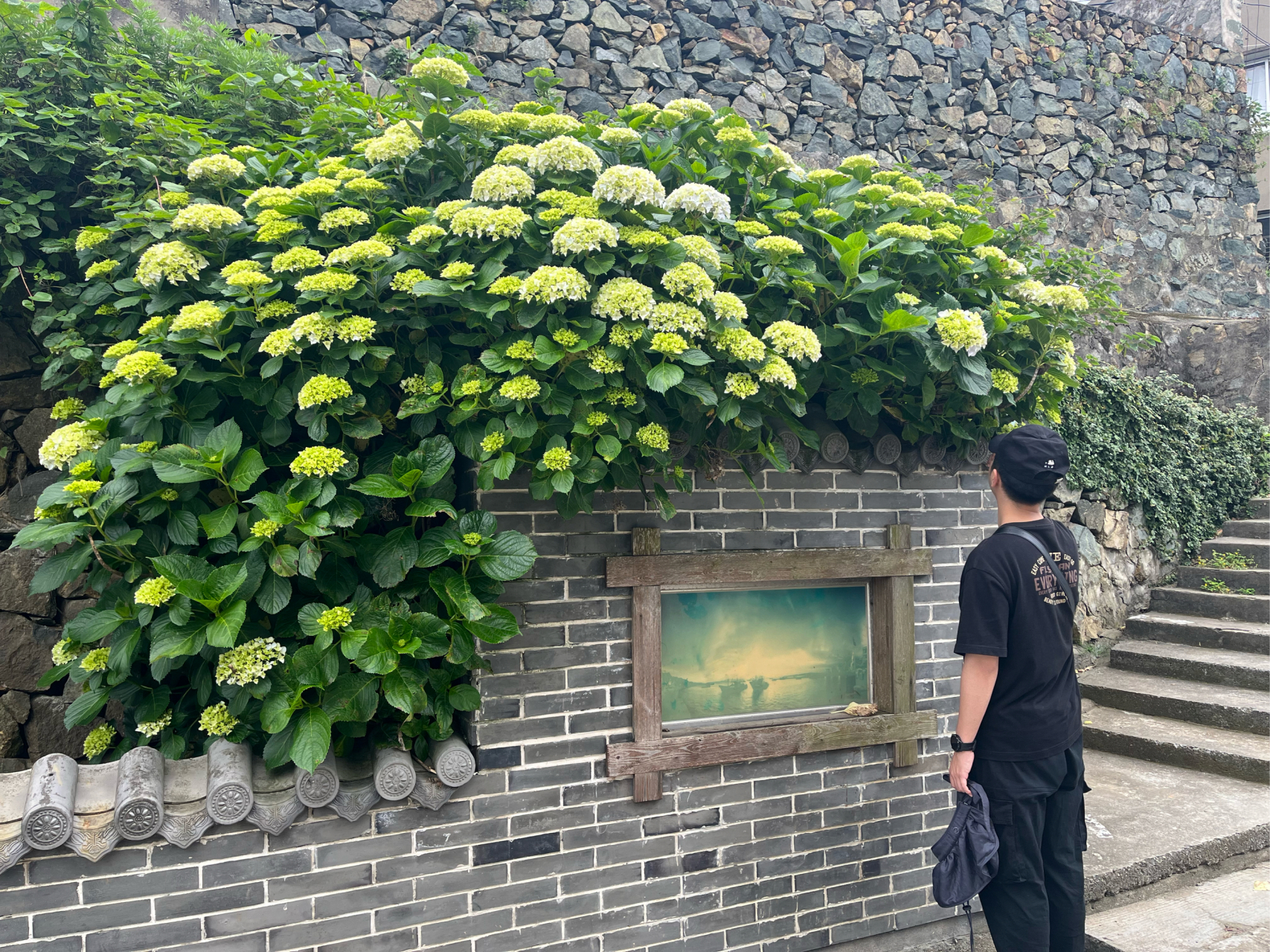 玉環雞山島遊記#繁星旅行家# #旅遊# #我要上熱門