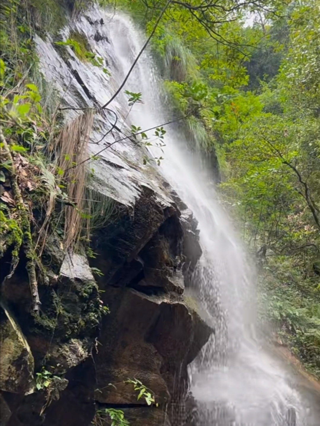 徽州大峡谷 邓志明/雨煮茶香韵 徽州峡谷势雄奇,翠嶂危岩耸碧漪