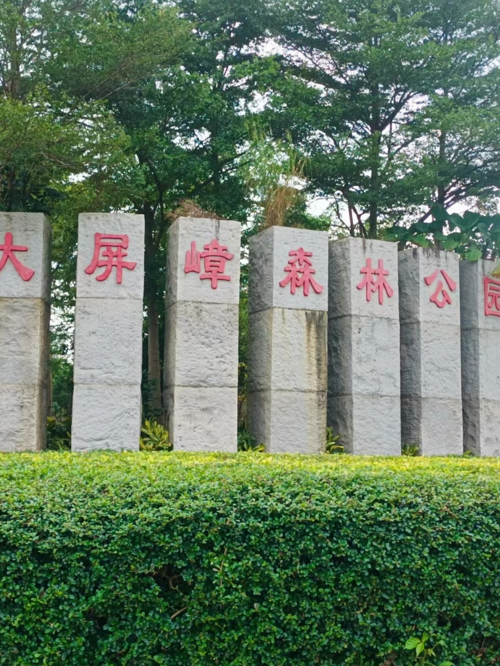 闲步大屏嶂森林公园 邓志明/雨煮茶香韵 林深径僻景无穷