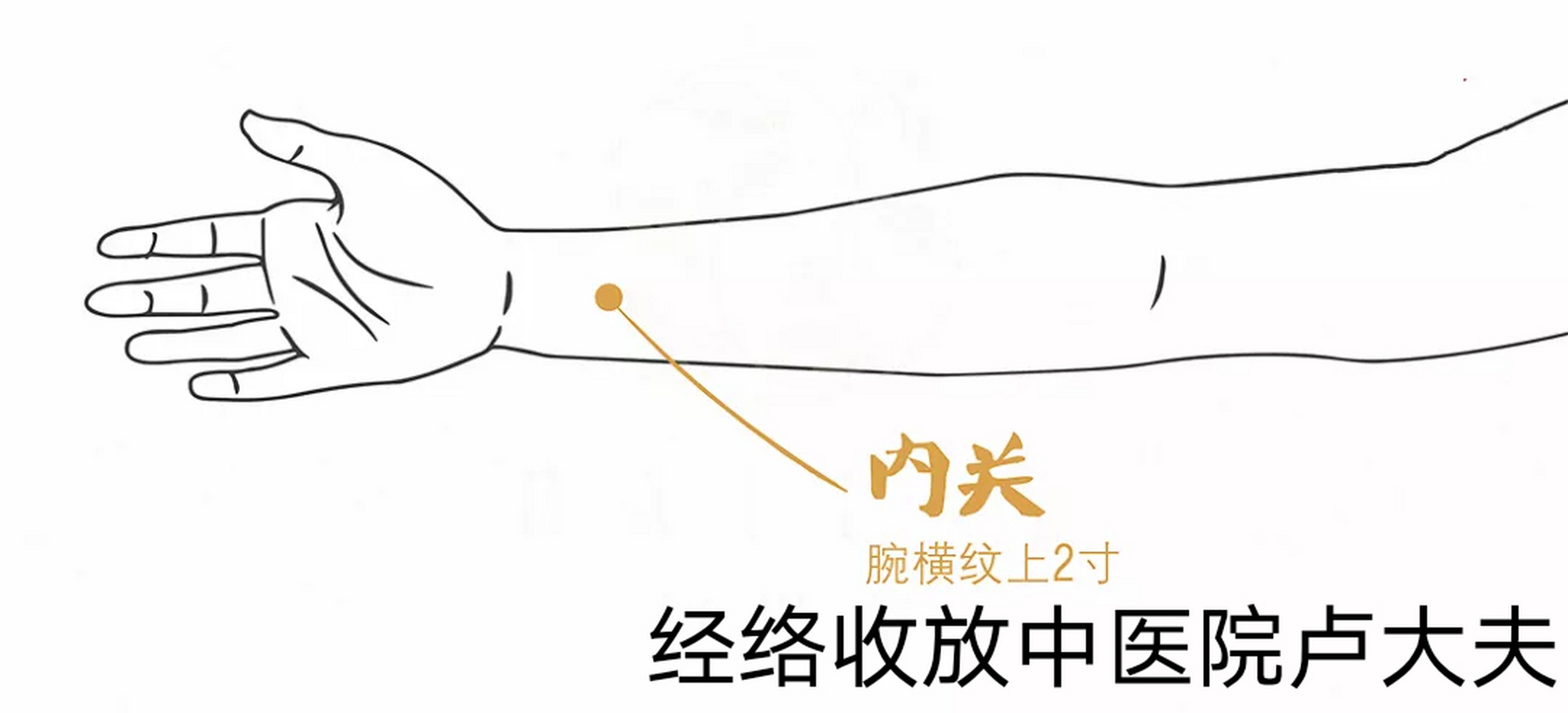 人体美容穴—内关穴,按一按年轻十岁 内关