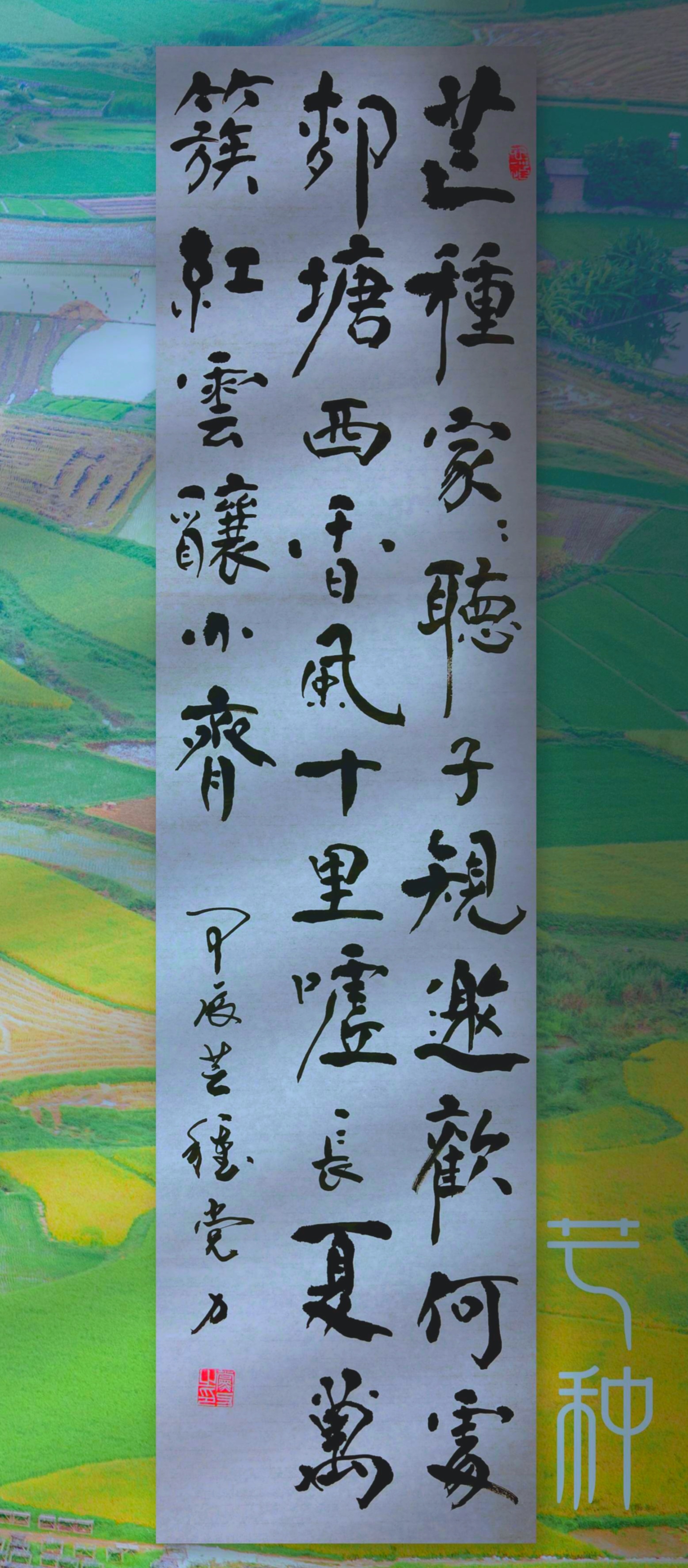 良辰美景添此物, 诗情酌趣翻波涛.  芒种家家听子规,邀欢何处柳塘西.