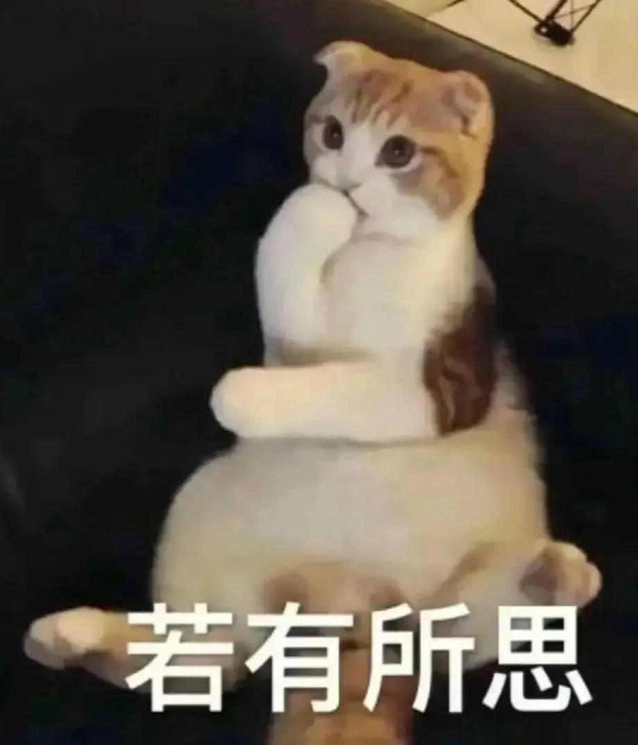 不知所措猫咪表情包图片