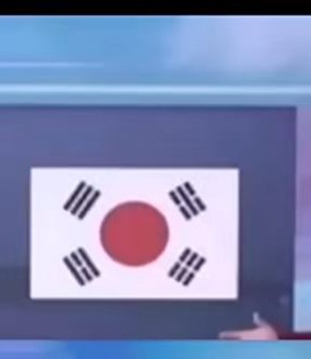 韩国国旗中间由红蓝两色组成的太极圆咋变成红色的圆圈?